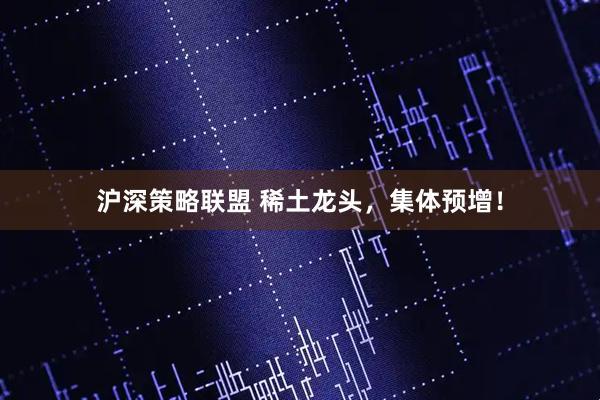 沪深策略联盟 稀土龙头，集体预增！