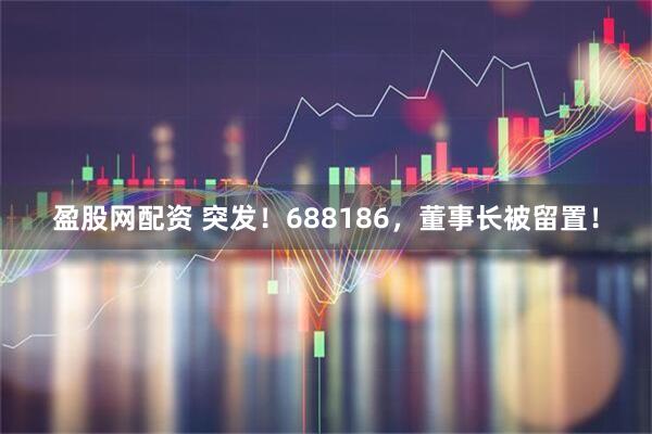 盈股网配资 突发！688186，董事长被留置！