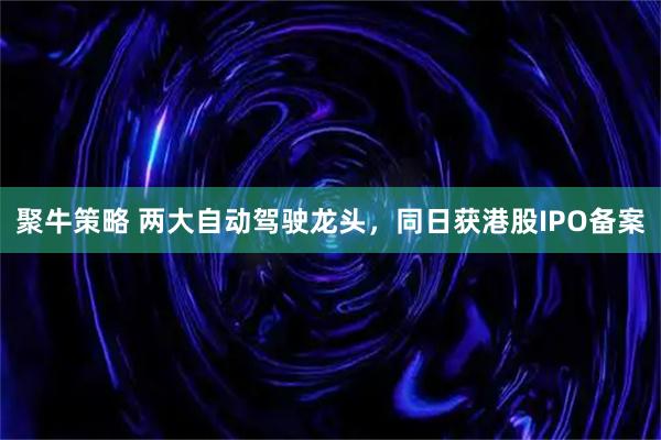 聚牛策略 两大自动驾驶龙头，同日获港股IPO备案