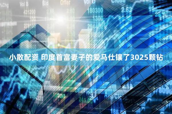 小散配资 印度首富妻子的爱马仕镶了3025颗钻