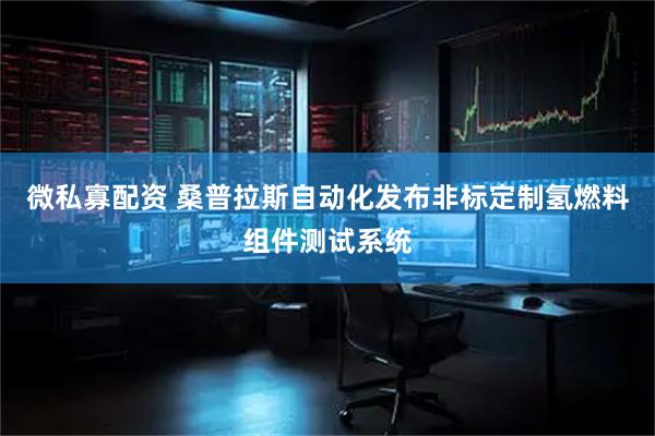 微私寡配资 桑普拉斯自动化发布非标定制氢燃料组件测试系统